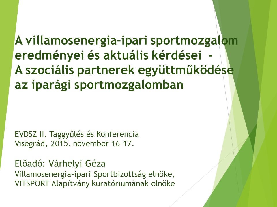 A villamosenergia–ipari sportmozgalom eredményei és aktuális kérdései - A szociális partnerek együttműködése az iparági sportmozgalomban EVDSZ II.