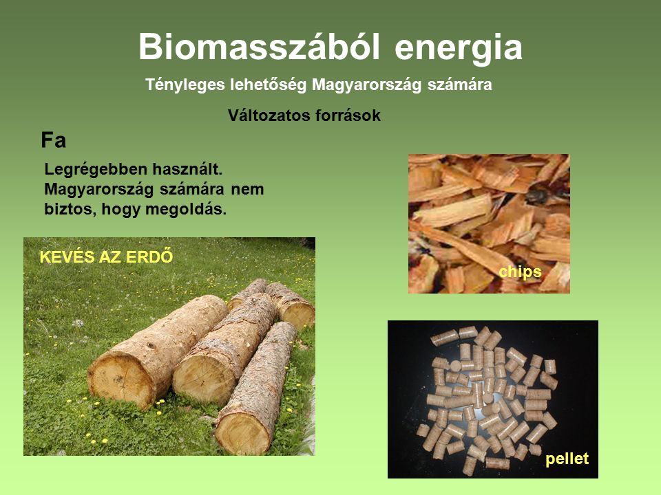 Biomasszából energia Tényleges lehetőség Magyarország számára Változatos források Fa Legrégebben használt.