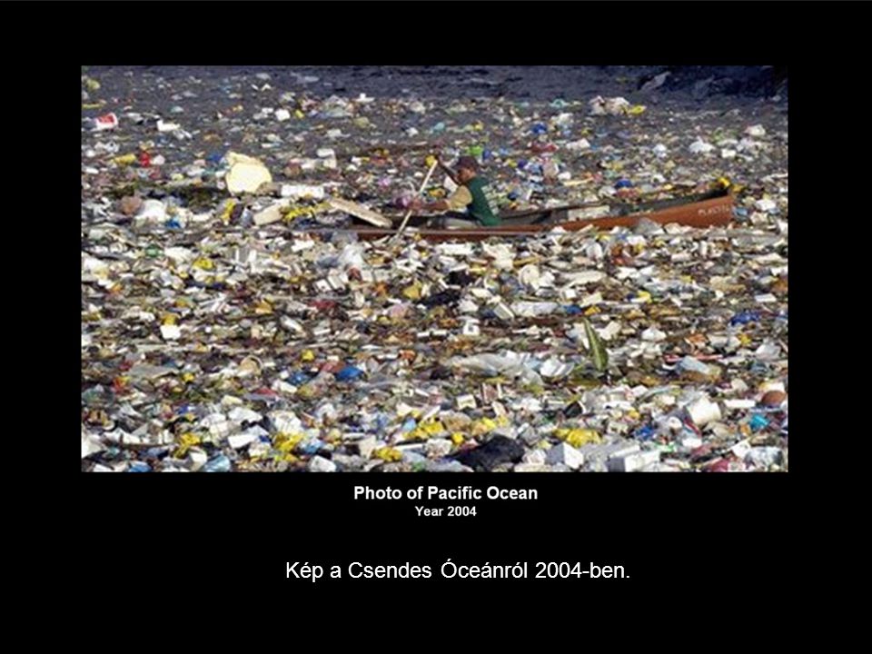 Kép a Csendes Óceánról 2004-ben.