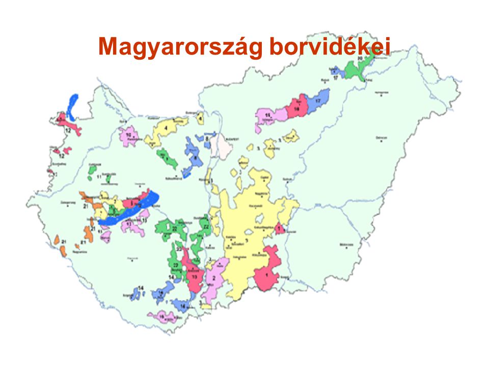 Magyarország borvidékei