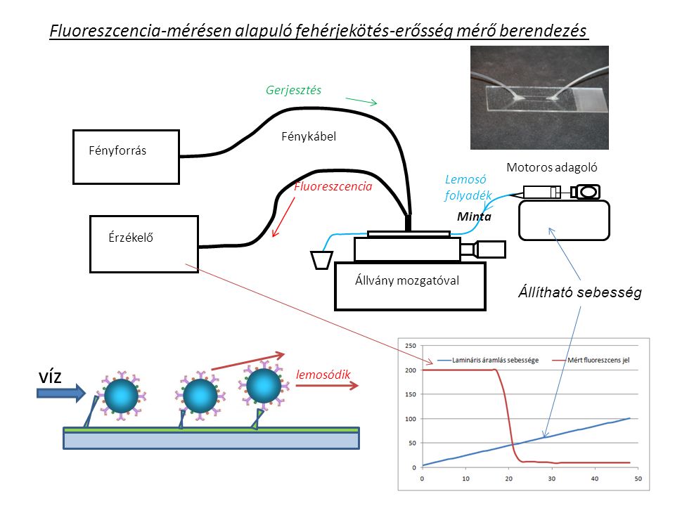 Fluoreszcencia-mérésen alapuló fehérjekötés-erősség mérő berendezés Érzékelő Fényforrás Fénykábel Gerjesztés Fluoreszcencia Lemosó folyadék Motoros adagoló Állvány mozgatóval Minta víz lemosódik Állítható sebesség