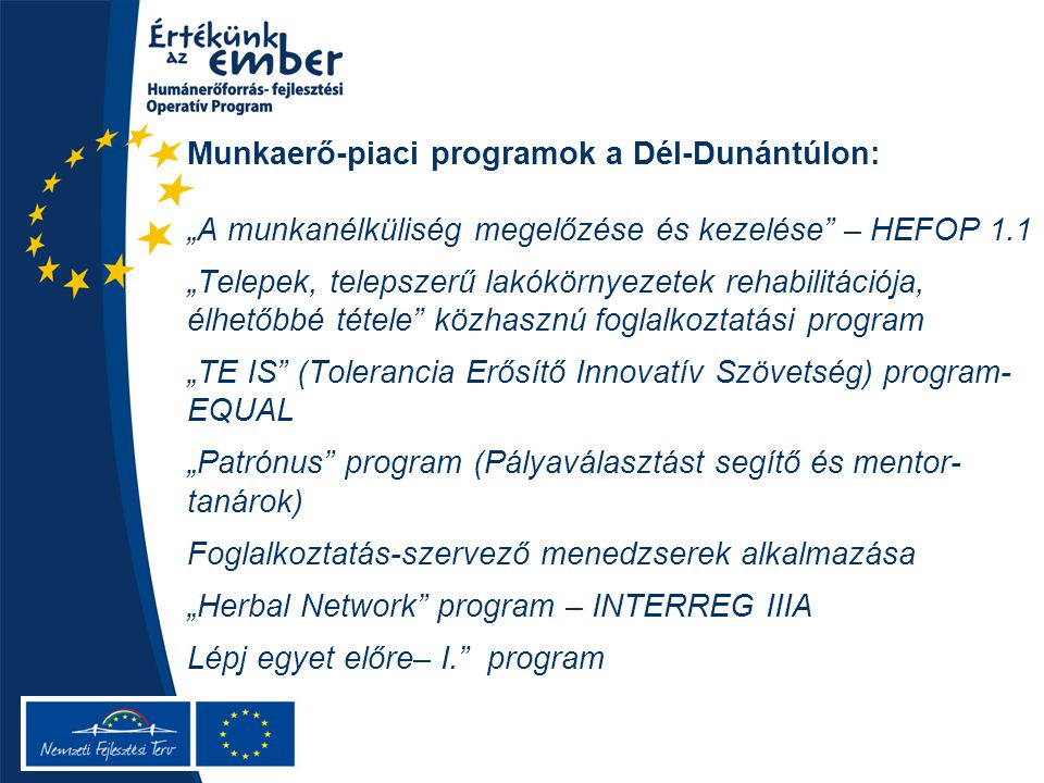 Munkaerő-piaci programok a Dél-Dunántúlon: „A munkanélküliség megelőzése és kezelése – HEFOP 1.1 „Telepek, telepszerű lakókörnyezetek rehabilitációja, élhetőbbé tétele közhasznú foglalkoztatási program „TE IS (Tolerancia Erősítő Innovatív Szövetség) program- EQUAL „Patrónus program (Pályaválasztást segítő és mentor- tanárok) Foglalkoztatás-szervező menedzserek alkalmazása „Herbal Network program – INTERREG IIIA Lépj egyet előre– I. program