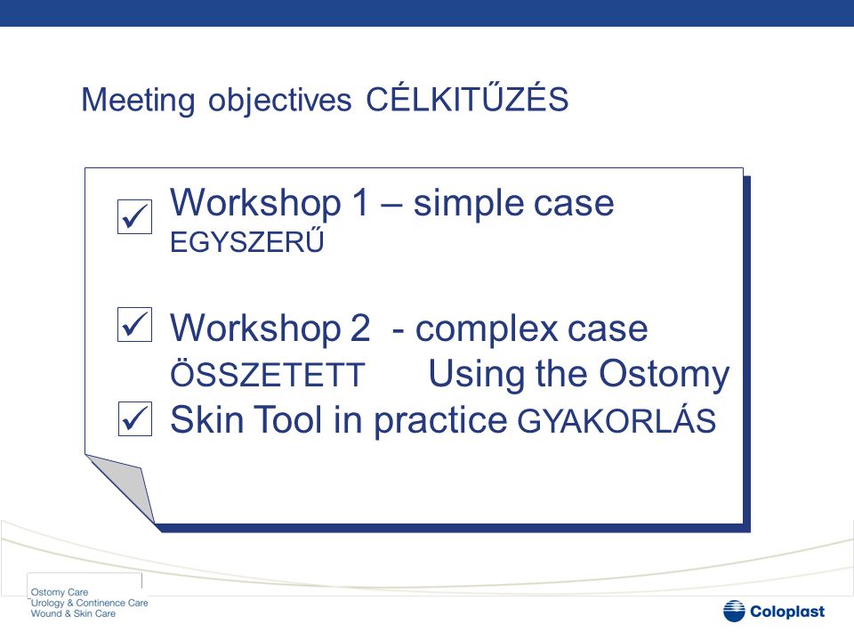 Meeting objectives CÉLKITŰZÉS Workshop 1 – simple case EGYSZERŰ Workshop 2 - complex case ÖSSZETETT Using the Ostomy Skin Tool in practice GYAKORLÁS   