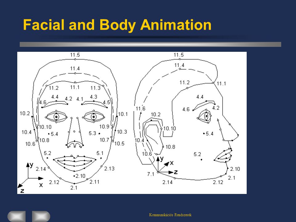 Kommunikációs Rendszerek Facial and Body Animation