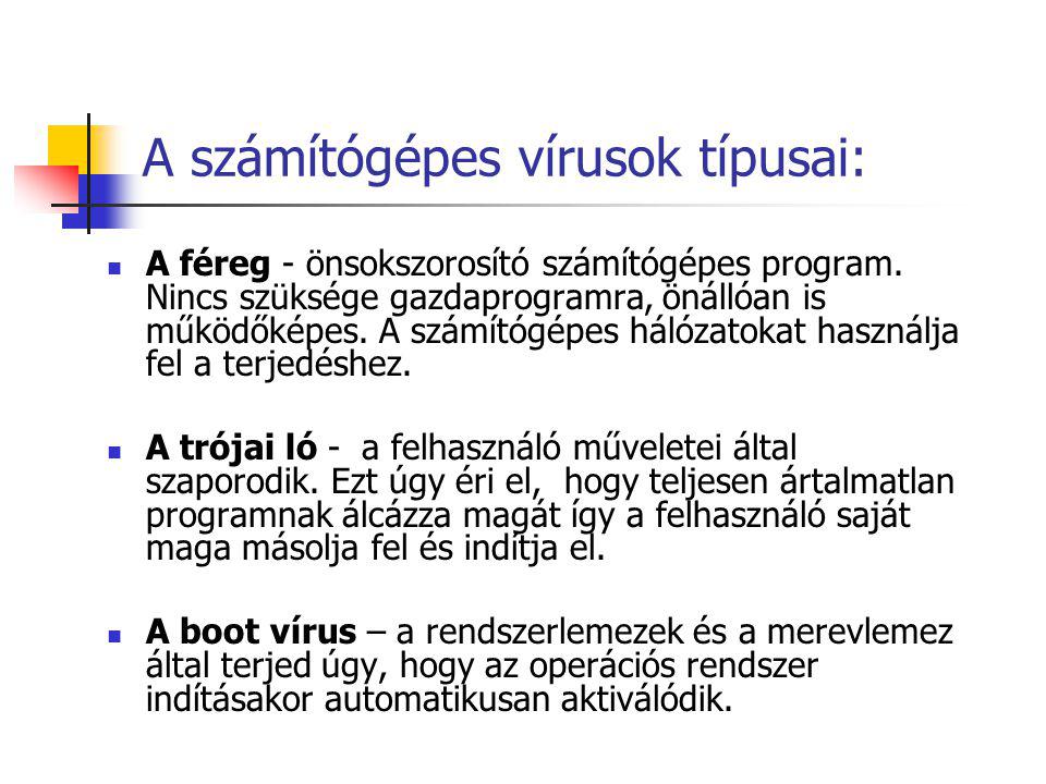 A számítógépes vírusok típusai:  A féreg - önsokszorosító számítógépes program.