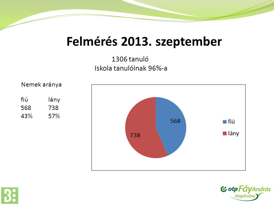 Felmérés szeptember 1306 tanuló Iskola tanulóinak 96%-a Nemek aránya fiúlány %57%