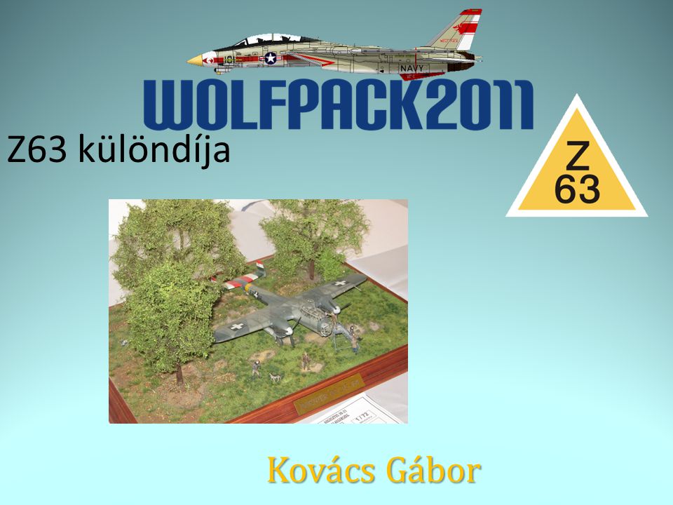 Z63 különdíja Kovács Gábor