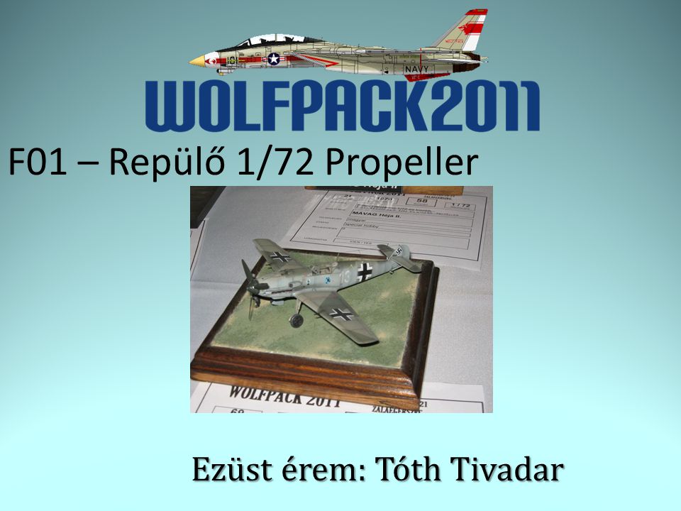 F01 – Repülő 1/72 Propeller Ezüst érem: Tóth Tivadar