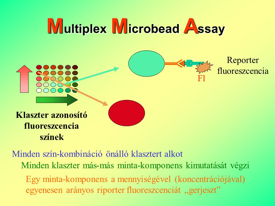Multiplex Mikrogyöngy Assay (MMA) Orvosi, biológiai vizsgálati minta Reagensek, különböző színű mikrogyöngyök Reakció cella