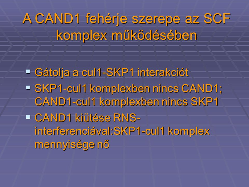 A CAND1 fehérje szerepe az SCF komplex működésében  Gátolja a cul1-SKP1 interakciót  SKP1-cul1 komplexben nincs CAND1; CAND1-cul1 komplexben nincs SKP1  CAND1 kiütése RNS- interferenciával:SKP1-cul1 komplex mennyisége nő