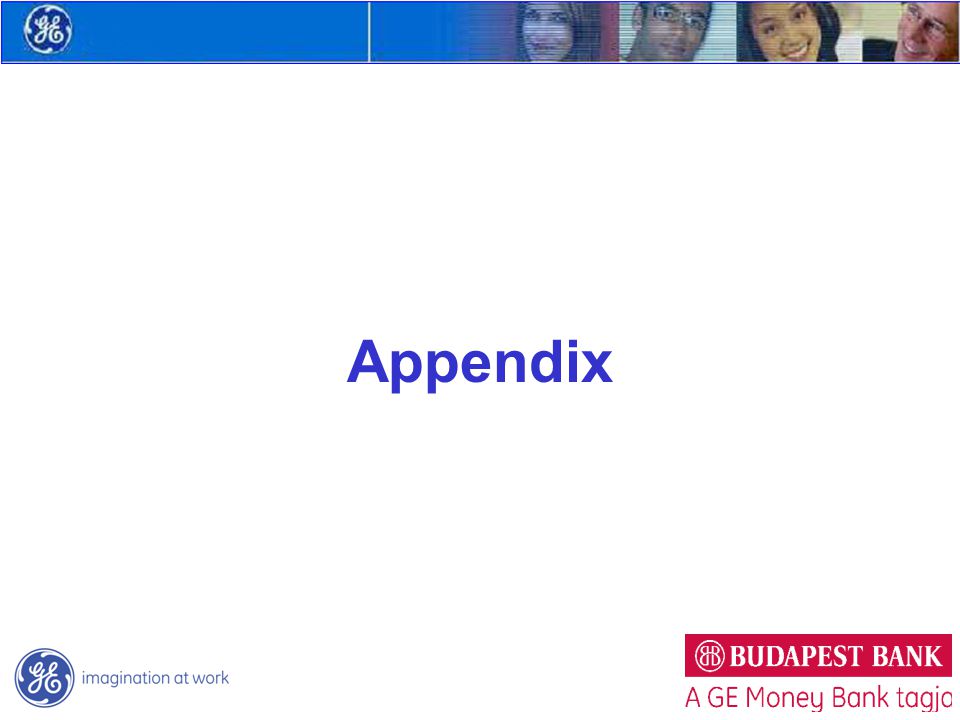 Appendix Prepared by FP&A