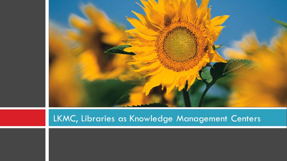 LKMC, Libraries as Knowledge Management Centers