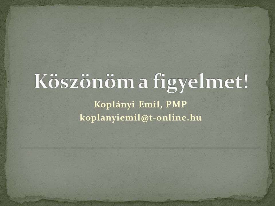 Koplányi Emil, PMP