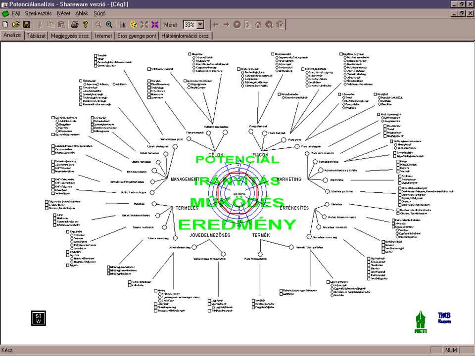 Potenciálanalízis n A dokumentum képe egy potenciál - sokszögdiagram, amelyen a vállalat működési potenciálját mérhetjük le.