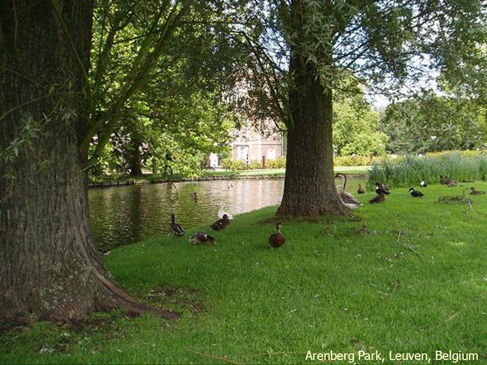 Leuven Kruidtuin Park, Belgium