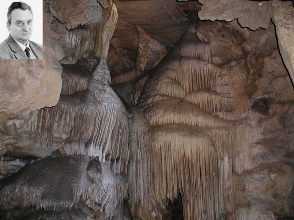 Nemzeti parkok •Muir Woods National Park Giant Sequoia •Sequoia National Park - (General Sherman Tree) - Mount Whitney barlang: Crystal Cave