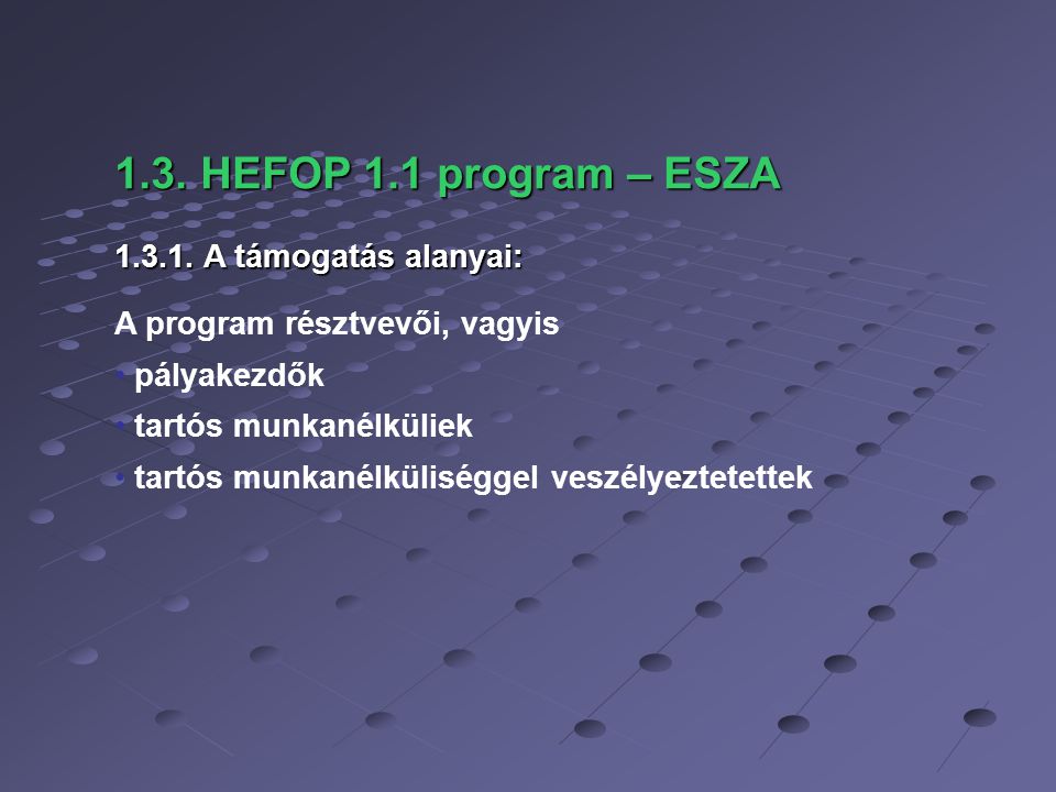 1.3. HEFOP 1.1 program – ESZA