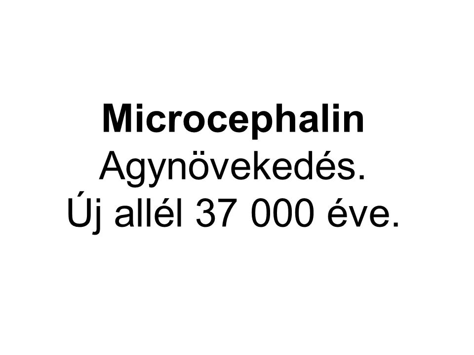 Microcephalin Agynövekedés. Új allél éve.