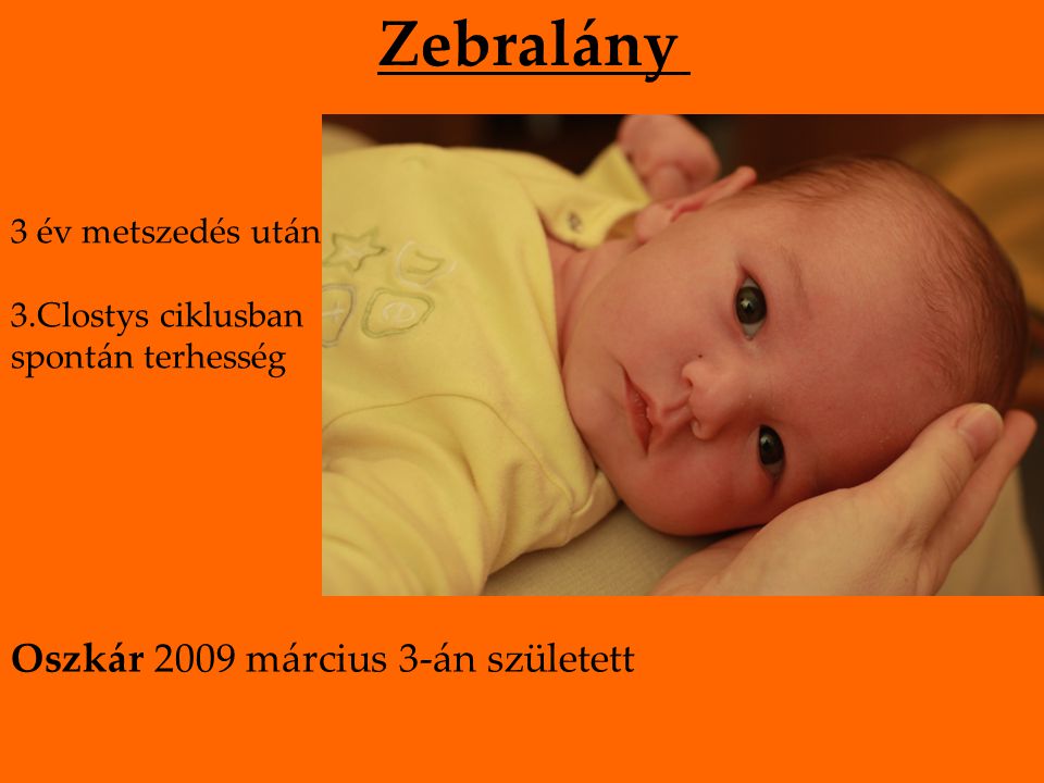 Zebralány 3 év metszedés után 3.Clostys ciklusban spontán terhesség Oszkár 2009 március 3-án született