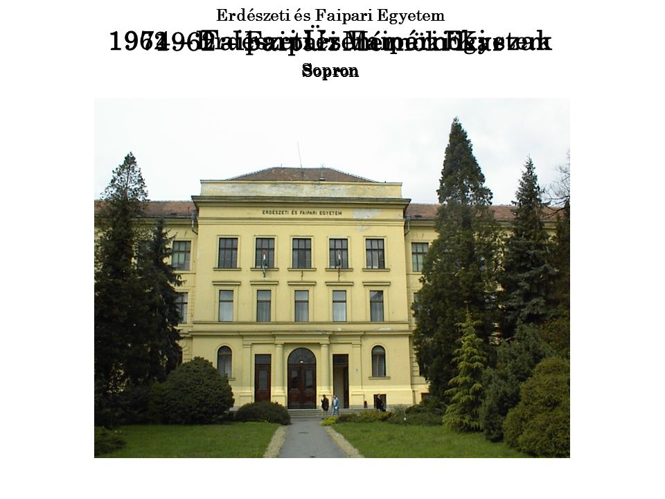 1962 – Erdészeti és Faipari Egyetem Sopron Erdészeti és Faipari Egyetem 1962 – Faipari Mérnöki Kar Sopron 1974 – Faipari Üzemmérnöki szak Sopron