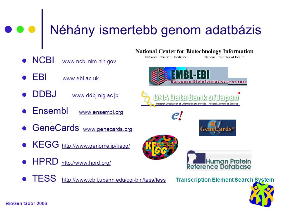 BioGén tábor 2006 Néhány ismertebb genom adatbázis NCBI   EBI     DDBJ     Ensembl     GeneCards   KEGG   HPRD   TESS   Transcription Element Search System
