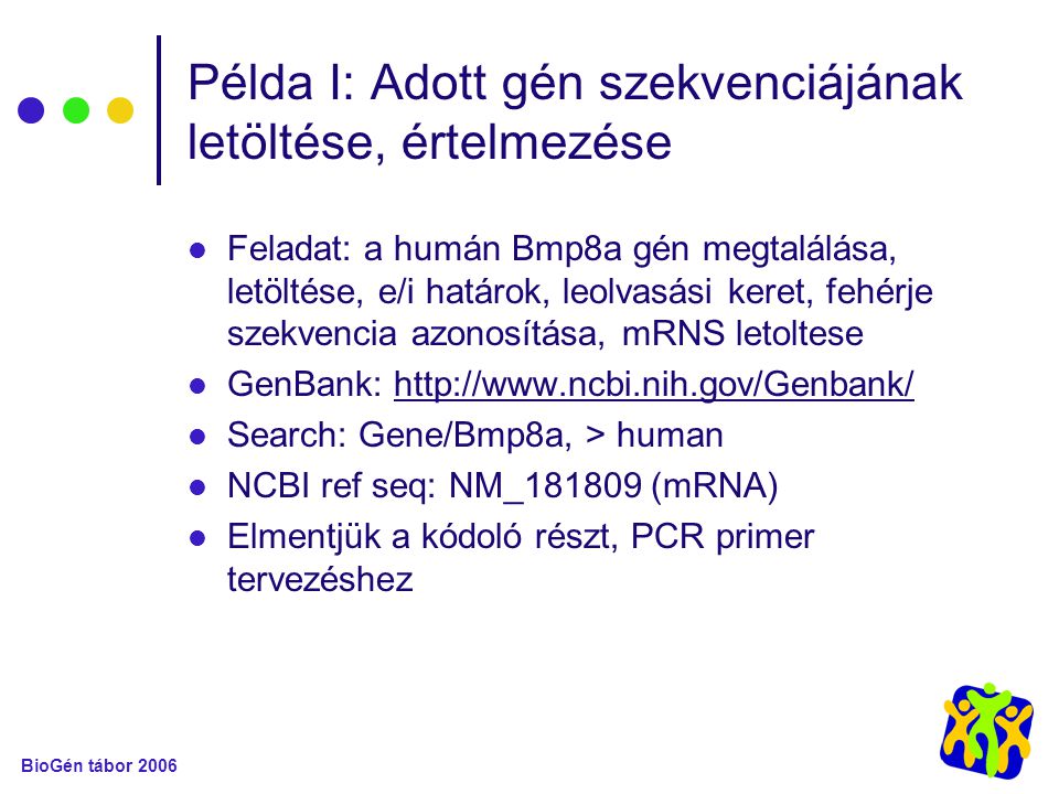 BioGén tábor 2006 Példa I: Adott gén szekvenciájának letöltése, értelmezése Feladat: a humán Bmp8a gén megtalálása, letöltése, e/i határok, leolvasási keret, fehérje szekvencia azonosítása, mRNS letoltese GenBank:   Search: Gene/Bmp8a, > human NCBI ref seq: NM_ (mRNA) Elmentjük a kódoló részt, PCR primer tervezéshez
