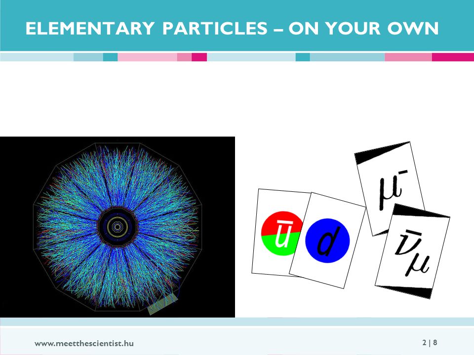 2 | 8 ELEMENTARY PARTICLES – ON YOUR OWN