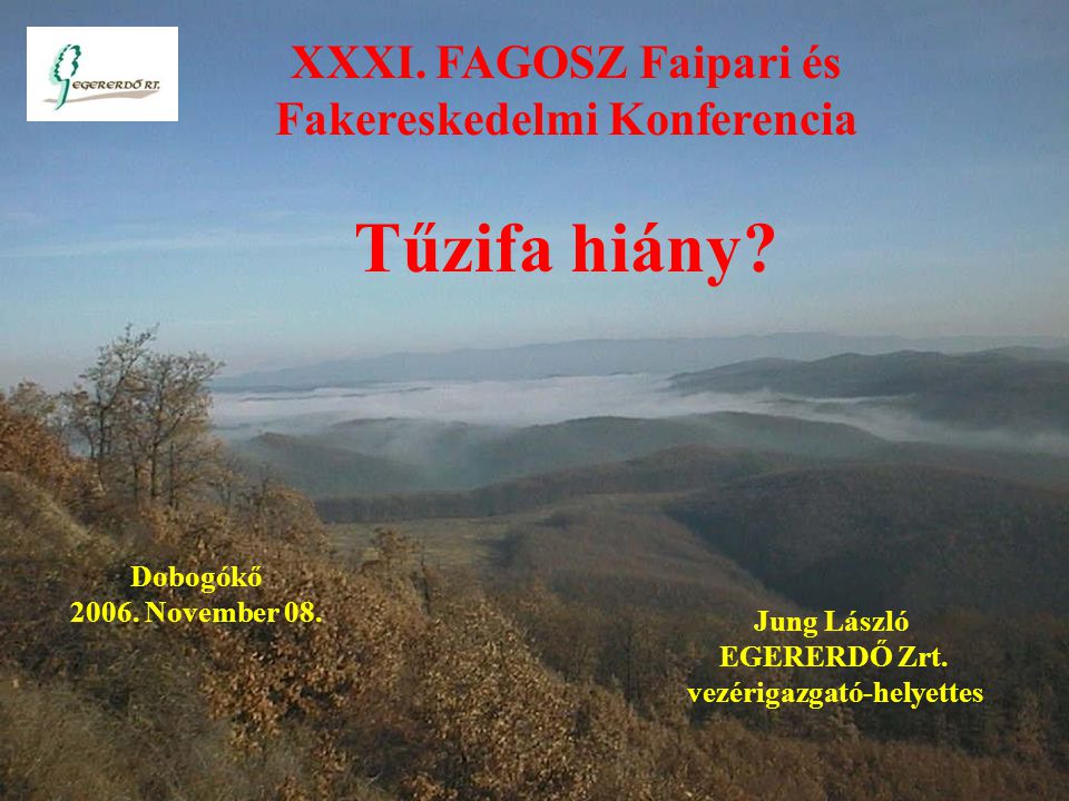 XXXI. FAGOSZ Faipari és Fakereskedelmi Konferencia Tűzifa hiány.
