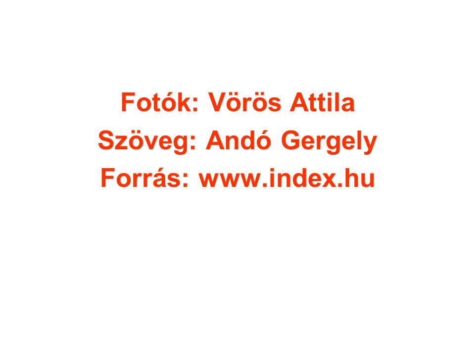 Fotók: Vörös Attila Szöveg: Andó Gergely Forrás: