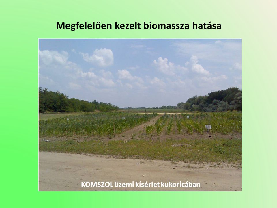 Megfelelően kezelt biomassza hatása KOMSZOL üzemi kísérlet kukoricában