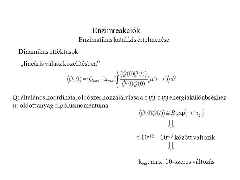 Enzimreakciók Enzimatikus katalízis értelmezése Dinamikus effektusok „lineáris válasz közelítésben Q: általános koordináta, oldószer hozzájárulása a  j (t)-  i (t) energiakülönbséghez  : oldott anyag dipólusmomentuma  – között változik k cat : max.