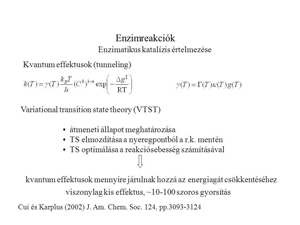 Enzimreakciók Enzimatikus katalízis értelmezése Kvantum effektusok (tunneling) átmeneti állapot meghatározása TS elmozdítása a nyeregpontból a r.k.