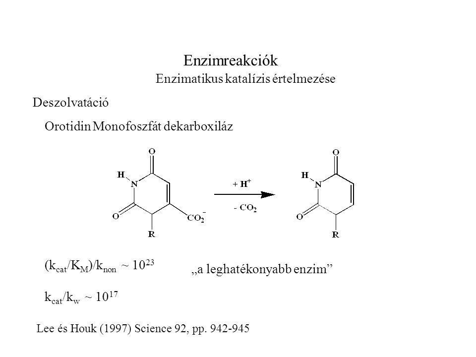 Enzimreakciók Enzimatikus katalízis értelmezése Lee és Houk (1997) Science 92, pp.