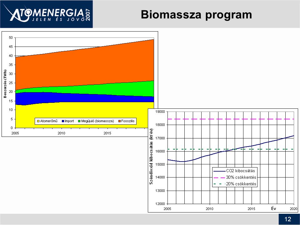 12 Biomassza program