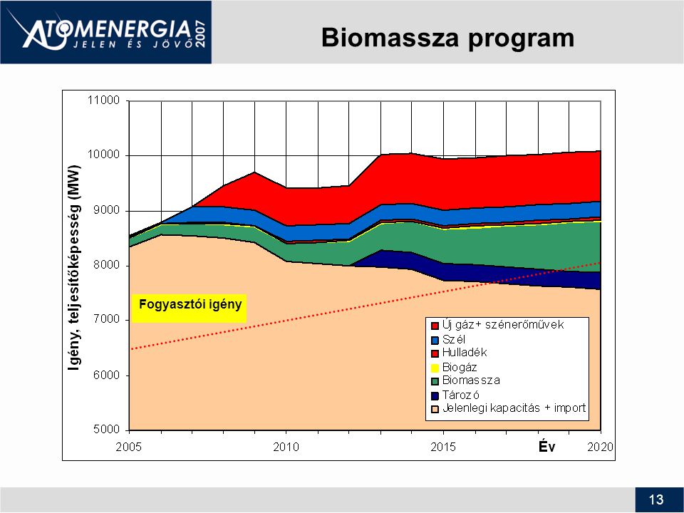 13 Biomassza program Fogyasztói igény