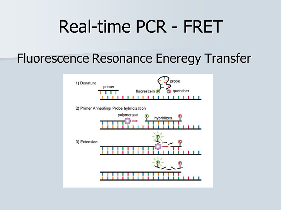 Real-time PCR - FRET Fluorescence Resonance Eneregy Transfer