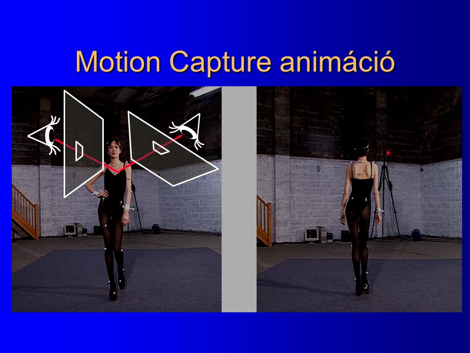 Motion Capture animáció
