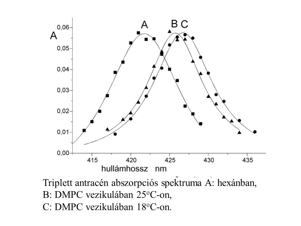 Triplett antracén abszorpciós spektruma A: hexánban, B: DMPC vezikulában 25 o C-on, C: DMPC vezikulában 18 o C-on.