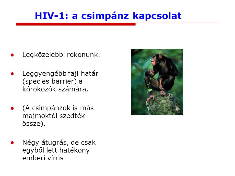 HIV-1: a csimpánz kapcsolat Legközelebbi rokonunk.