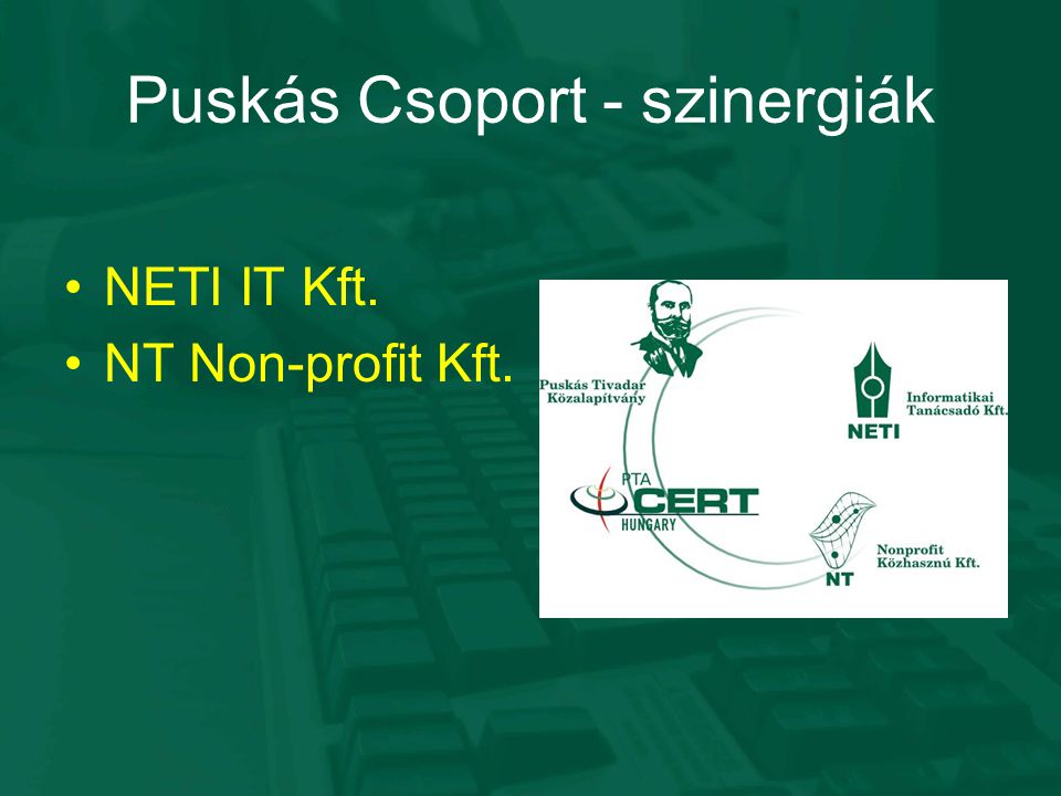 Puskás Csoport - szinergiák NETI IT Kft. NT Non-profit Kft.