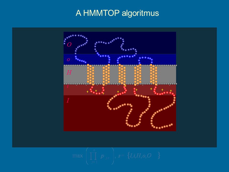 H i I o O A HMMTOP algoritmus