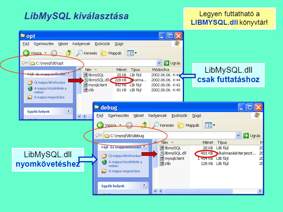 LibMySQL kiválasztása LibMySQL.dll nyomkövetéshez LibMySQL.dll csak futtatáshoz Legyen futtatható a LIBMYSQL.dll könyvtár!