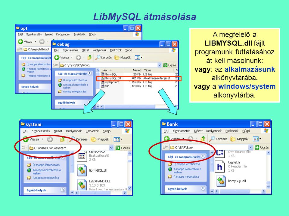 LibMySQL átmásolása A megfelelő a LIBMYSQL.dll fájlt programunk futtatásához át kell másolnunk: vagy: az alkalmazásunk alkönyvtárába.