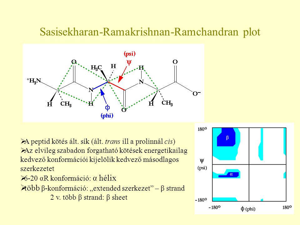 Sasisekharan-Ramakrishnan-Ramchandran plot  A peptid kötés ált.