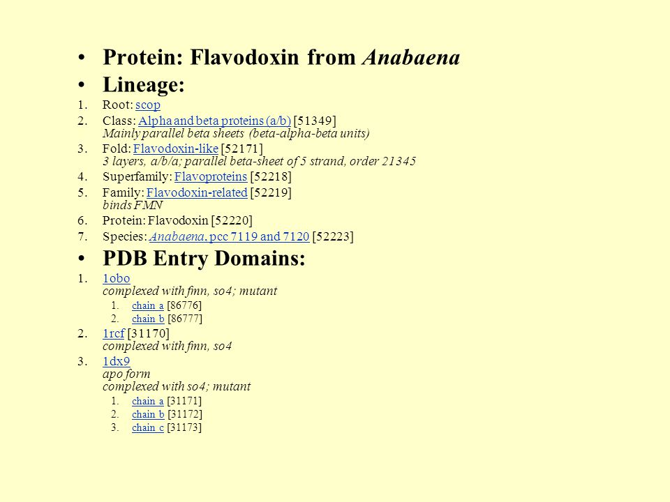 Protein: Flavodoxin from Anabaena Lineage: 1.Root: scopscop 2.Class: Alpha and beta proteins (a/b) [51349] Mainly parallel beta sheets (beta-alpha-beta units)Alpha and beta proteins (a/b) 3.Fold: Flavodoxin-like [52171] 3 layers, a/b/a; parallel beta-sheet of 5 strand, order 21345Flavodoxin-like 4.Superfamily: Flavoproteins [52218]Flavoproteins 5.Family: Flavodoxin-related [52219] binds FMNFlavodoxin-related 6.Protein: Flavodoxin [52220] 7.Species: Anabaena, pcc 7119 and 7120 [52223]Anabaena, pcc 7119 and 7120 PDB Entry Domains: 1.1obo complexed with fmn, so4; mutant1obo 1.chain a [86776]chain a 2.chain b [86777]chain b 2.1rcf [31170] complexed with fmn, so41rcf 3.1dx9 apo form complexed with so4; mutant1dx9 1.chain a [31171]chain a 2.chain b [31172]chain b 3.chain c [31173]chain c