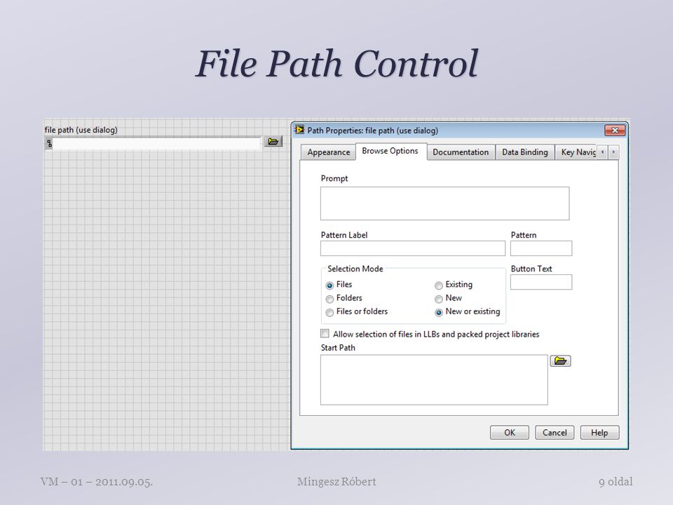 File Path Control Mingesz RóbertVM – 01 – oldal