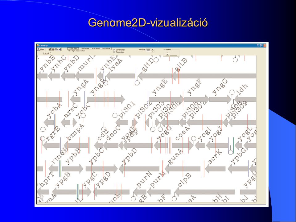 Genome2D-vizualizáció