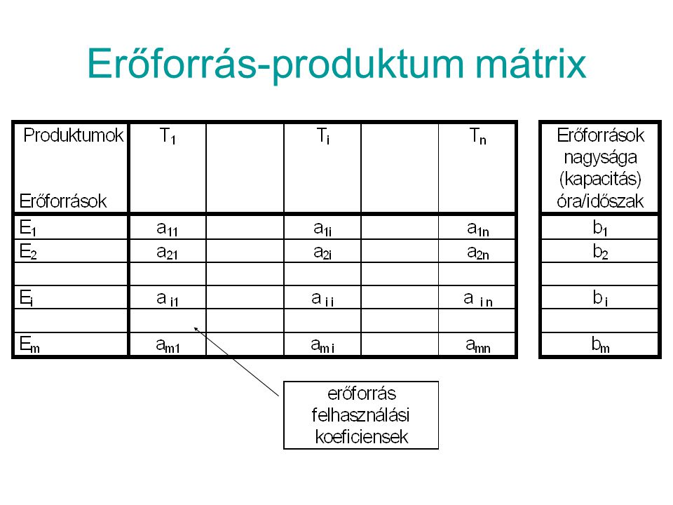 Vállalati rendszermátrix elemei 1.) Az erőforrás - produktum mátrix A vállalat erőforrásainak és produktumainak kapcsolatait line-áris és determinisztikus kapcsolatként - az erőforrás-felhasználási koeficiensek segítségével - írják le.