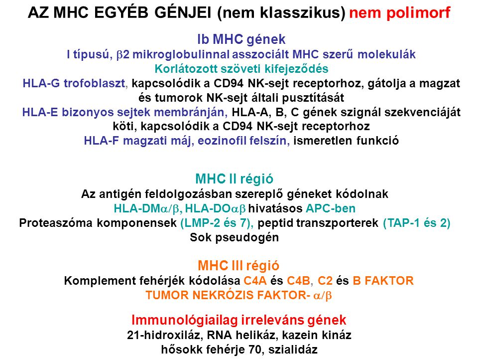 AZ MHC EGYÉB GÉNJEI (nem klasszikus) nem polimorf Ib MHC gének I típusú,  2 mikroglobulinnal asszociált MHC szerű molekulák Korlátozott szöveti kifejeződés HLA-G trofoblaszt, kapcsolódik a CD94 NK-sejt receptorhoz, gátolja a magzat és tumorok NK-sejt általi pusztítását HLA-E bizonyos sejtek membránján, HLA-A, B, C gének szignál szekvenciáját köti, kapcsolódik a CD94 NK-sejt receptorhoz HLA-F magzati máj, eozinofil felszín, ismeretlen funkció MHC II régió Az antigén feldolgozásban szereplő géneket kódolnak HLA-DM  HLA-DO  hivatásos APC-ben Proteaszóma komponensek (LMP-2 és 7), peptid transzporterek (TAP-1 és 2) Sok pseudogén MHC III régió Komplement fehérjék kódolása C4A és C4B, C2 és B FAKTOR TUMOR NEKRÓZIS FAKTOR-  Immunológiailag irreleváns gének 21-hidroxiláz, RNA helikáz, kazein kináz hősokk fehérje 70, szialidáz