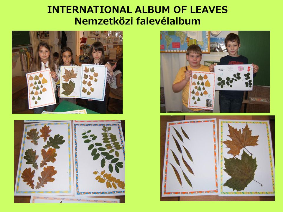 INTERNATIONAL ALBUM OF LEAVES Nemzetközi falevélalbum